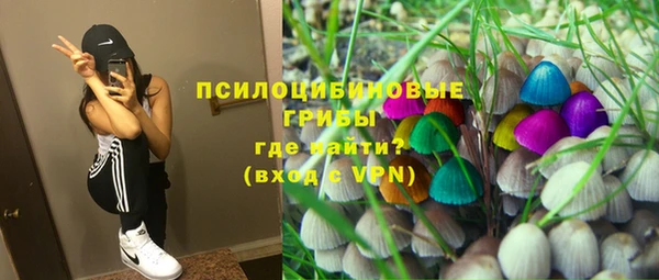 прущая мука Армянск
