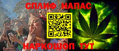 СК Владивосток