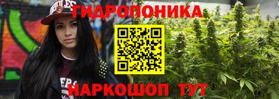 СК Владивосток