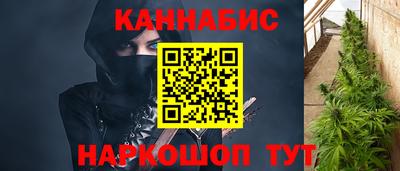 СК Владивосток