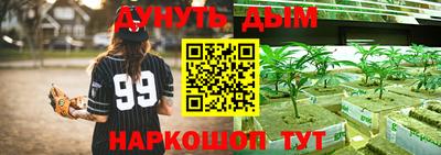 ПСИЛОЦИБИНОВЫЕ ГРИБЫ Владимир