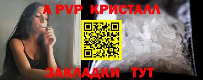 СК Владивосток