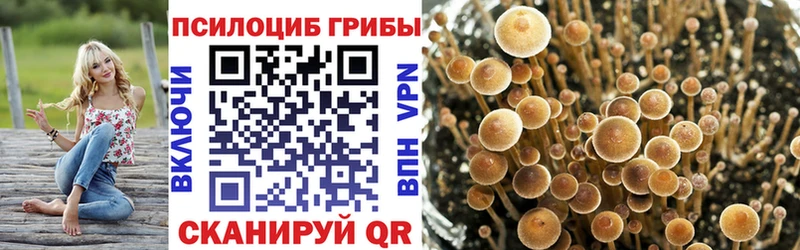 магазин    нарко площадка наркотические препараты  Галлюциногенные грибы MAGIC MUSHROOMS  Карабулак  ОМГ ОМГ ссылка 