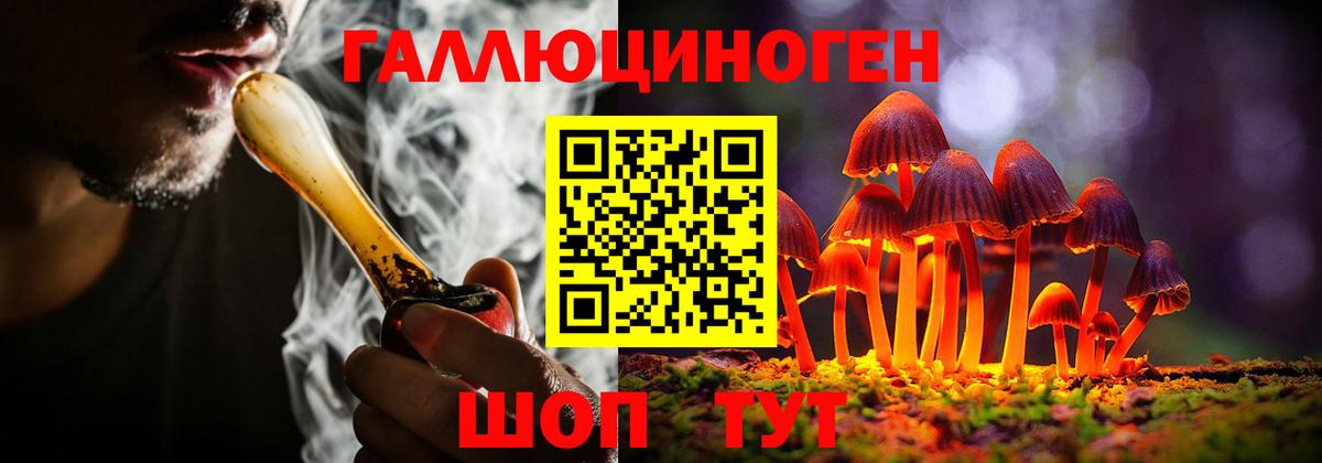 где можно купить   Вход с VPN  Карабулак  Псилоцибиновые грибы прущие грибы 