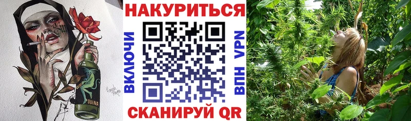 Бошки Шишки сатива  Карабулак 